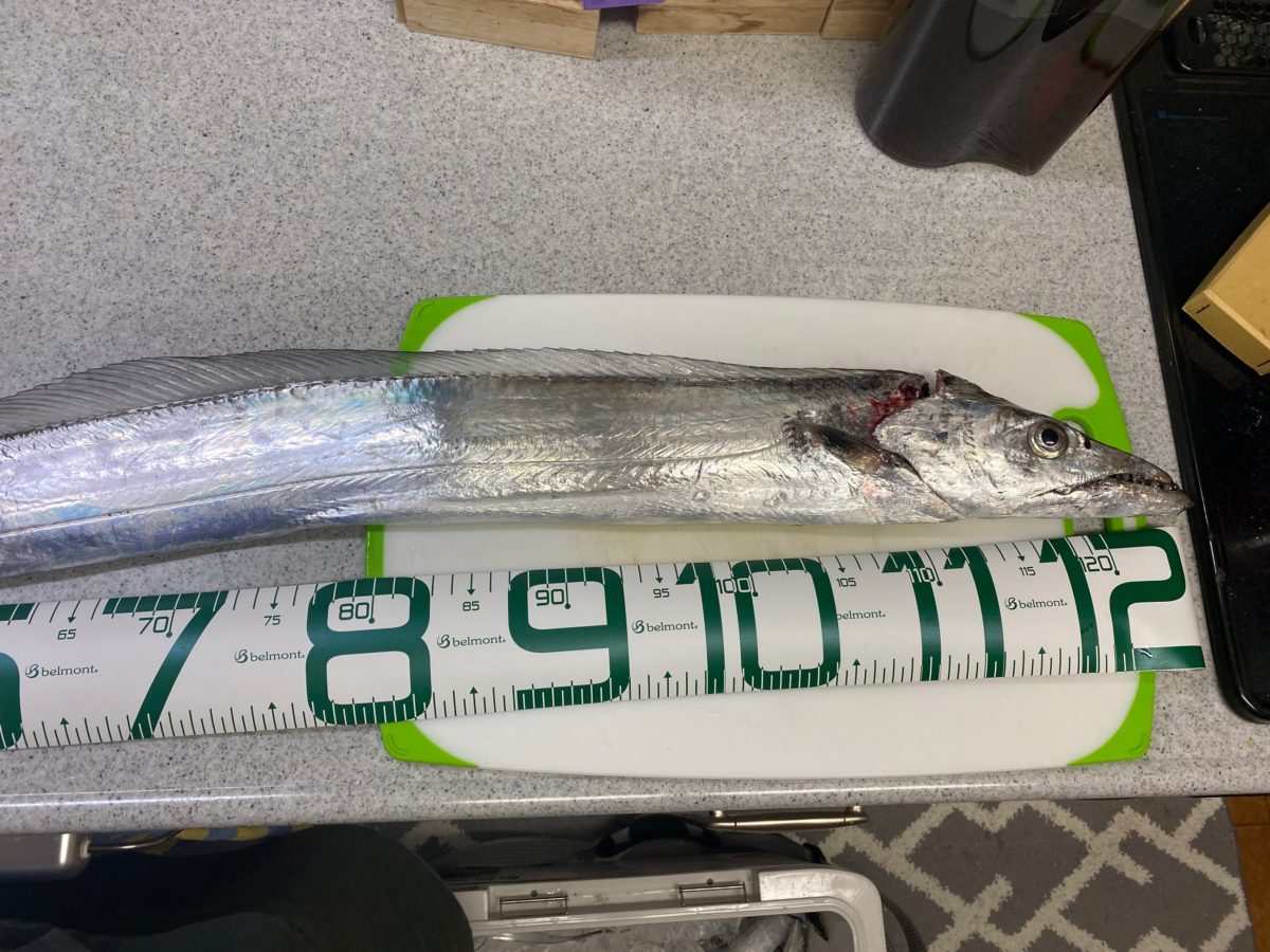127cmのドラゴン太刀魚